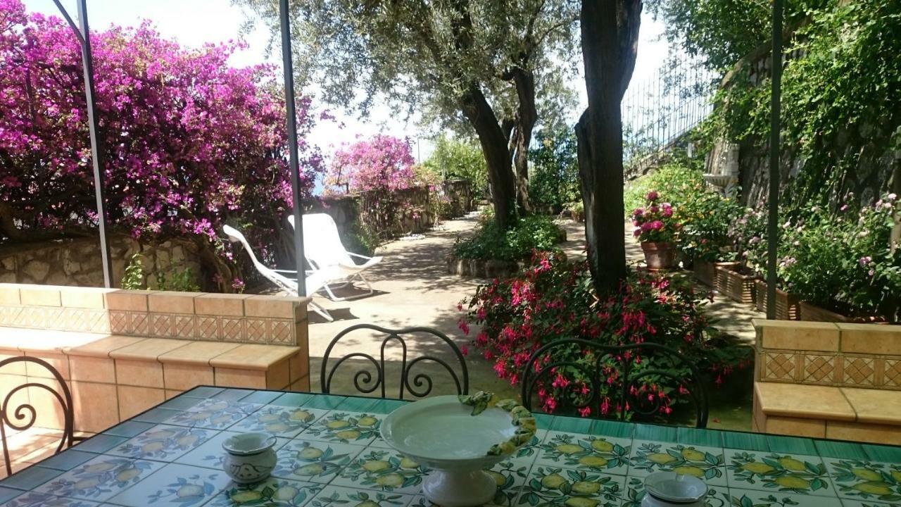 Villa L'Ulivina Sorrento Exterior foto
